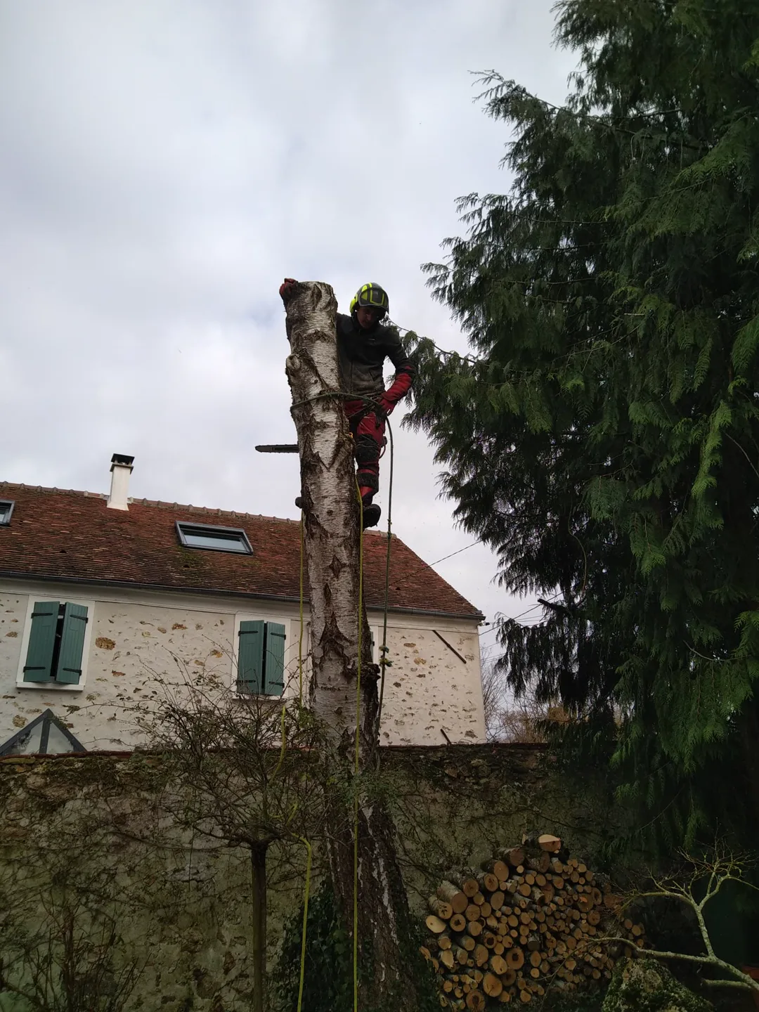 Grimpeur démontant un tronc au plus près d'une maison